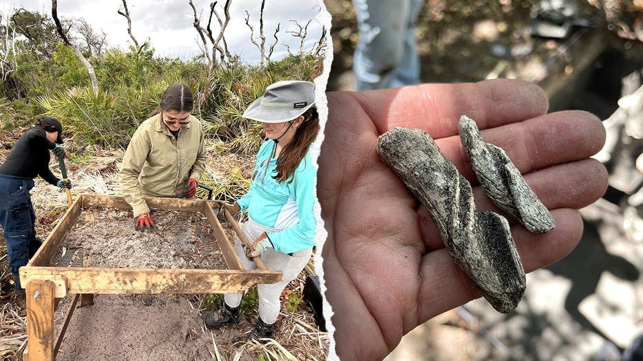 Ancient artifacts found beneath Cape Canaveral Space Force Station as one mystery still stumps researchers Cairns Accountant