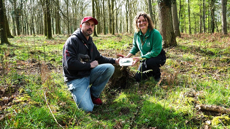 Dog walker's routine stroll turns into 'incredible' 3,000-year-old discovery in picturesque forest Cairns Accountant