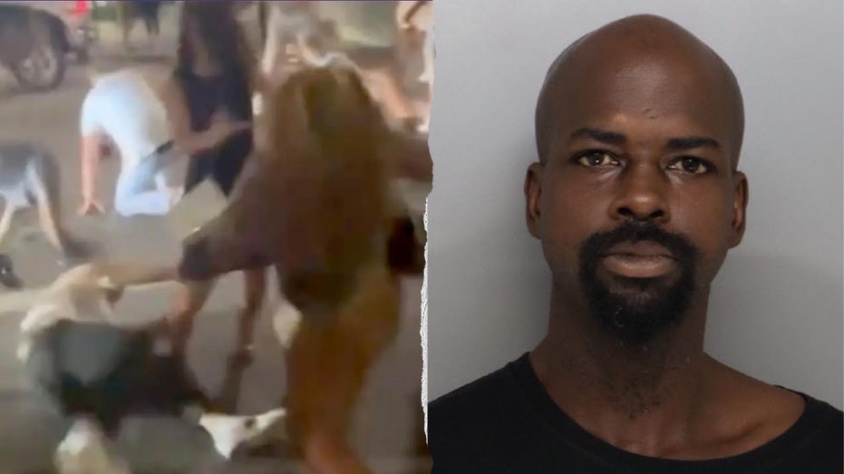 Fourth arrest announced as investigation into violent Cincinnati brawl continues Cairns Accountant