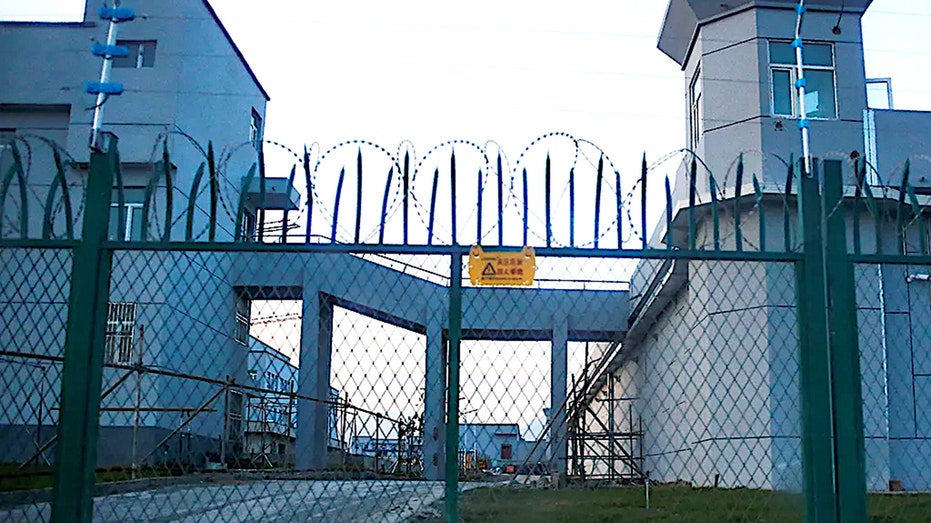Mother recounts horrors of brutal Chinese detention camp where infant son died Cairns Accountant